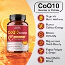 zebora-coq10-200mg-gummies-high-absorpti-4.jpg