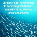 garden-of-life-oceans-3-beyond-omega-3-w-6.jpg