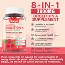 1-pack-3000mg-liposomal-urolithin-a-8-in-3.jpg