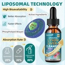 liposomal-lymphatic-drainage-liver-clean-6.jpg