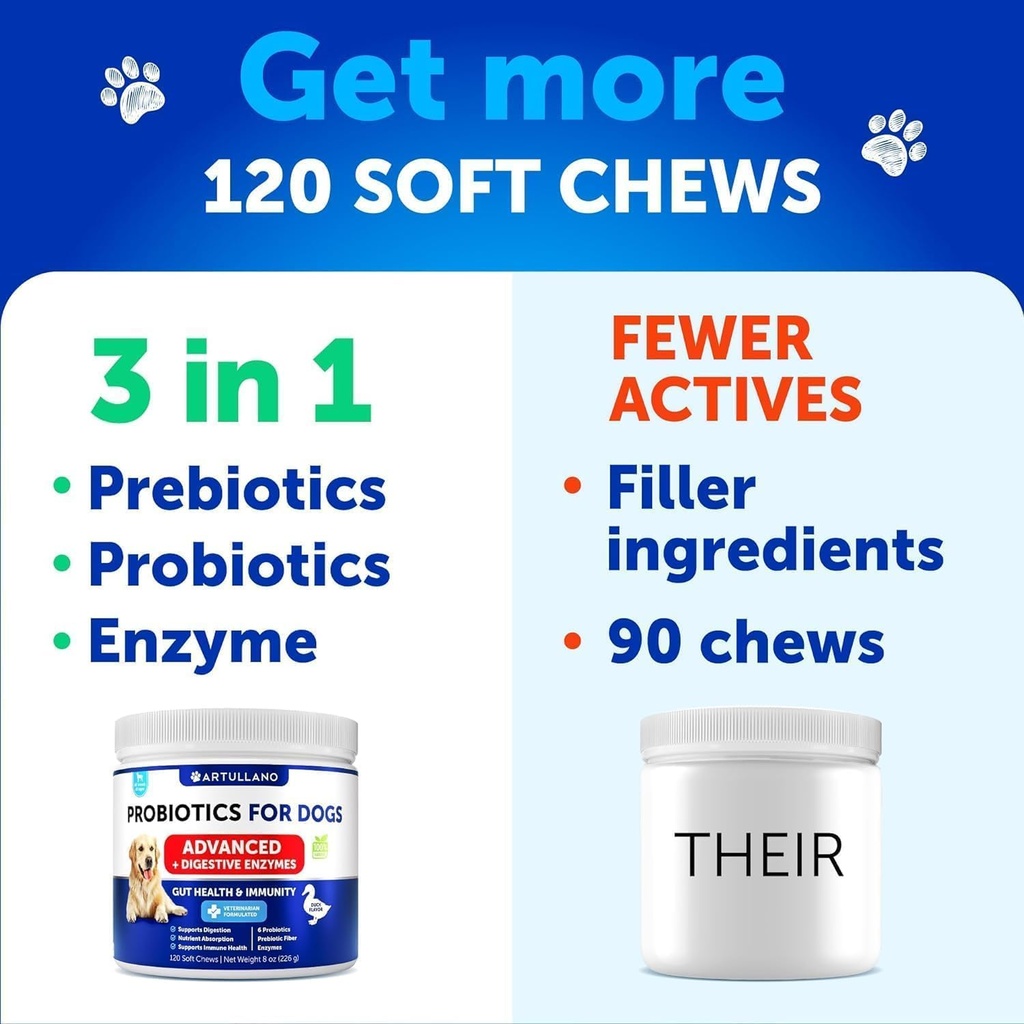 probiotics-for-dogs---support-gut-health-4.jpg