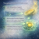 nmn-l-glutathione-supplement-nad-support-6.jpg