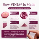 vinia-piceid-resveratrol-supplement-caps-6.jpg