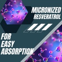 research-labs-2x-potency-micronized-resv-5.jpg