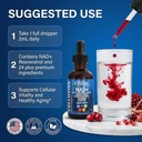 liposomal-nad-resveratrol-supplement-liq-6.jpg
