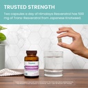himalaya-resveratrol-for-healthy-aging-a-6.jpg