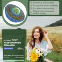 nad-resveratrol-supplement-with-nad-nico-3.jpg