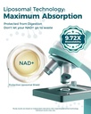 liposomal-nad-supplement-1100mg-nad-plus-3.jpg