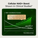 nad-supplement-for-women-with-resveratro-5.jpg