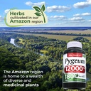 fito-medic-s-lab-pygeum-supplement-180-c-5.jpg