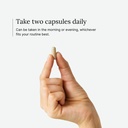 prostate-supplement-for-men-saw-palmetto-6.jpg
