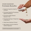 stonehenge-health-dynamic-mushrooms-1-40-2.jpg