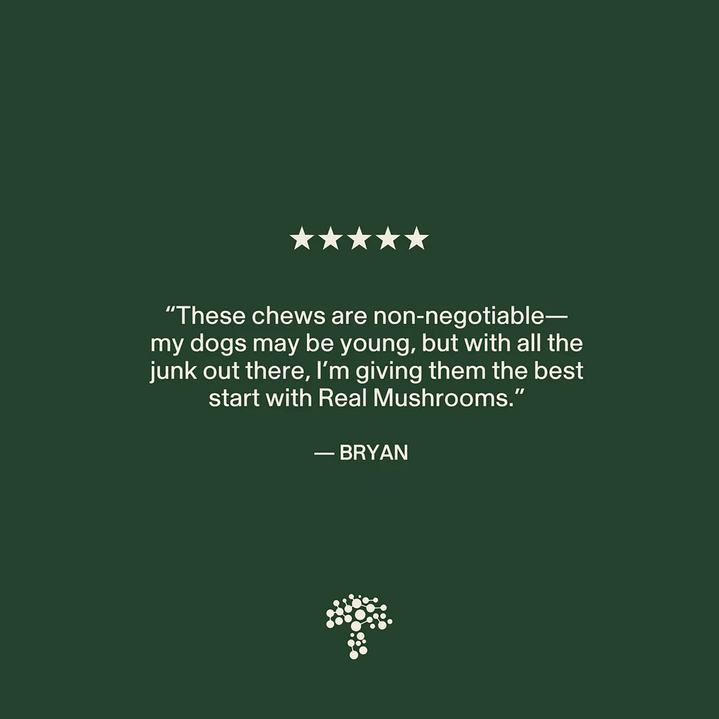 real-mushroom-immune-pet-chews-for-daily-6.jpg