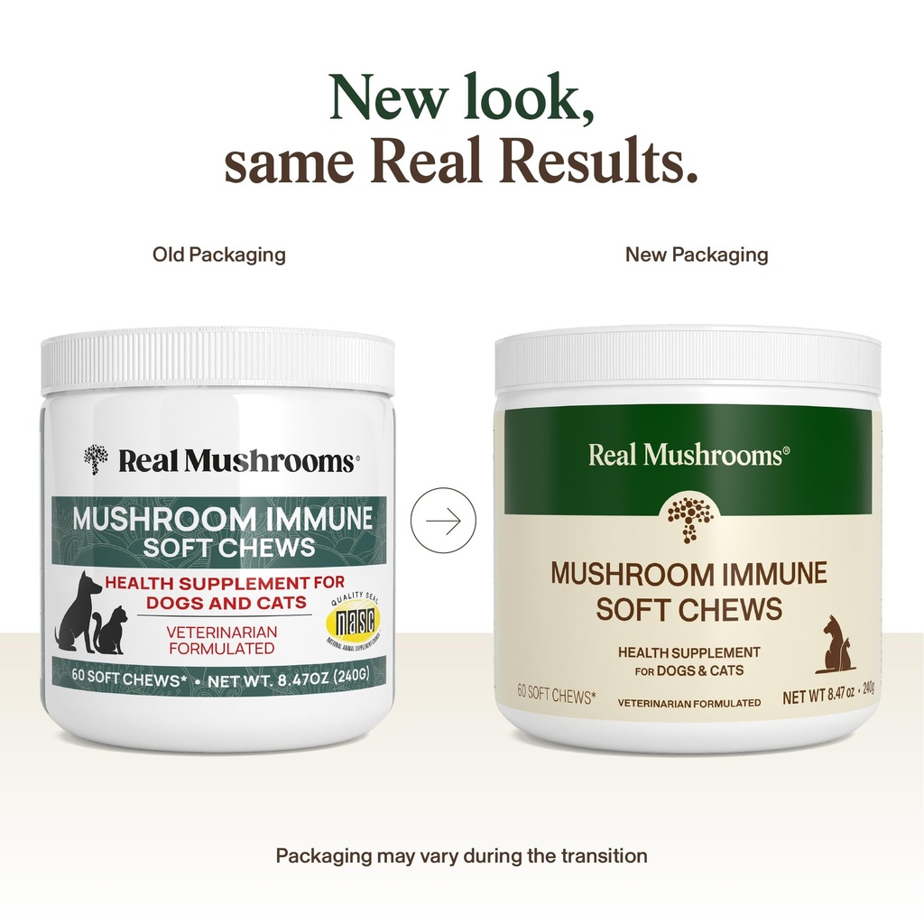 real-mushroom-immune-pet-chews-for-daily-2.jpg