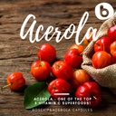 b-natural-rosehips-acerola-capsules-plan-6.jpg
