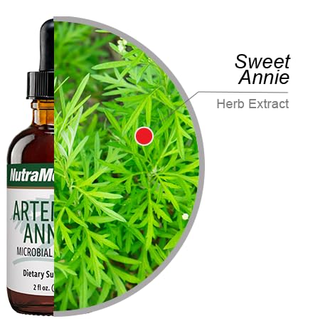 nutramedix-artemisia-annua-immune-suppor-3.jpg