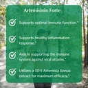 provita-artemisinin-pro-immune-support-s-4.jpg