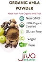 organic-amla-powder-1-25-lb-20oz-pure-la-2.jpg