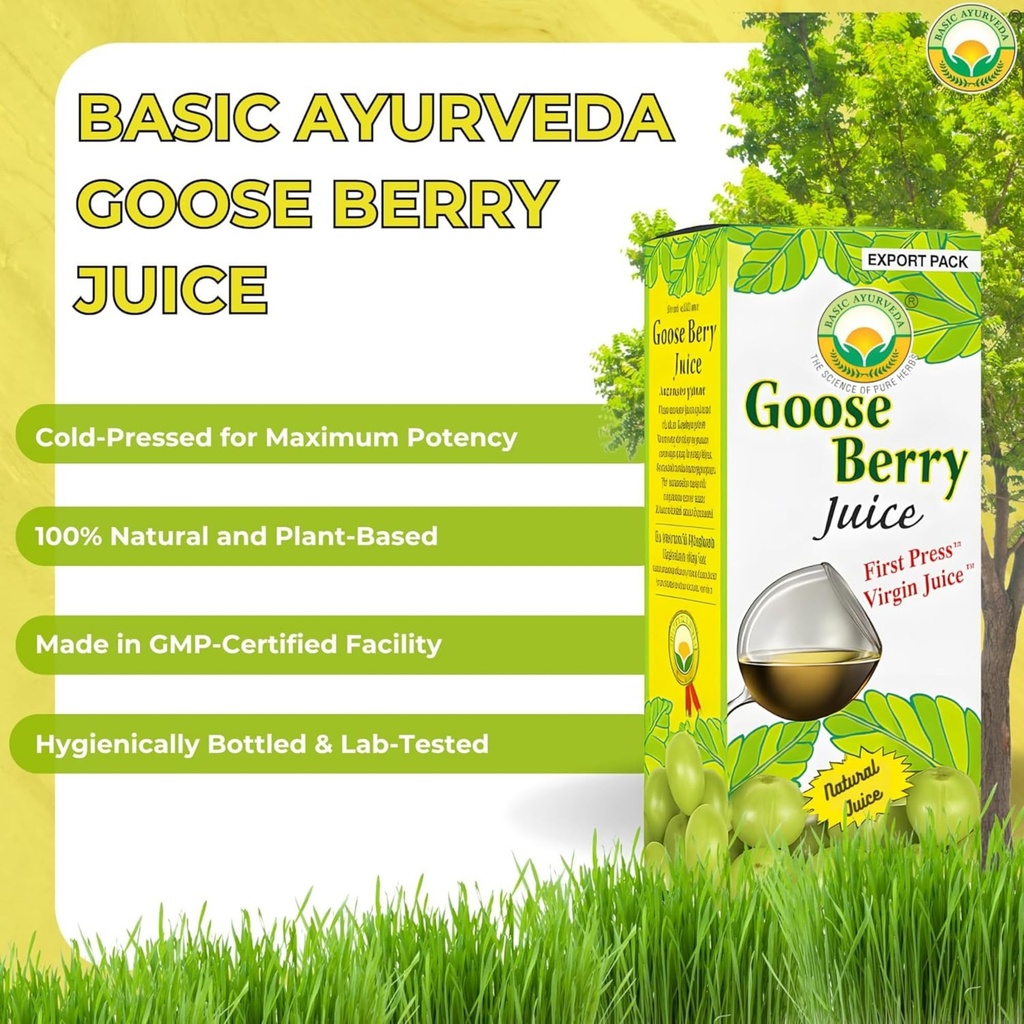 basic-ayurveda-amla-gooseberry-juice-32--4.jpg
