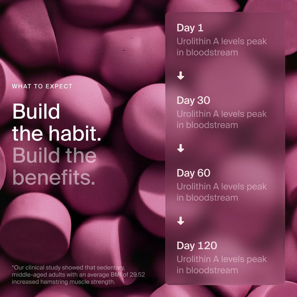 timeline-mitopure-urolithin-a-supplement-4.jpg