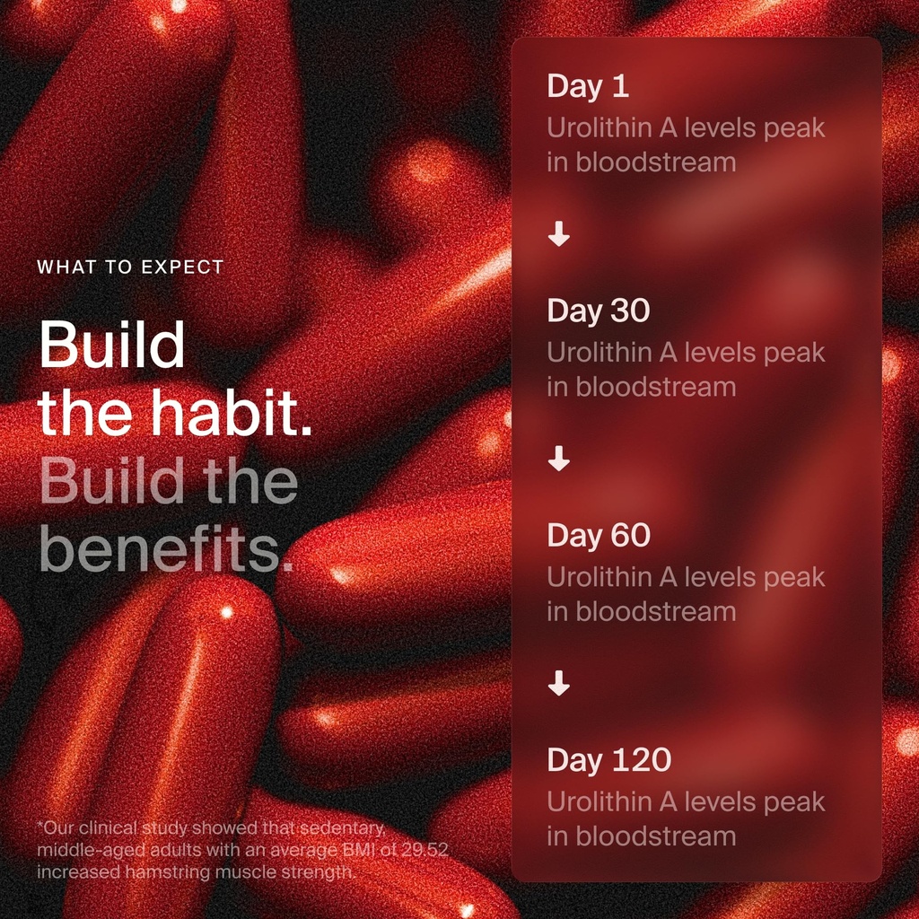timeline-mitopure-urolithin-a-supplement-4.jpg
