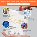 urolithin-a-supplement-gummies-500mg-uro-4.jpg