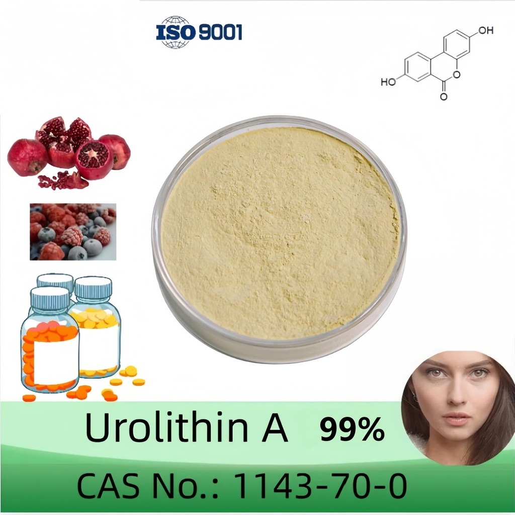 urolithin-a-powder-20-grams-purity-above-2.jpg