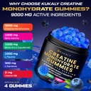 creatine-monohydrate-gummies-for-men-wom-4.jpg
