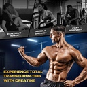 creatine-gummies-for-men-women-5-in-1-co-5.jpg