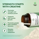 micronized-creatine-monohydrate-powder-f-5.jpg