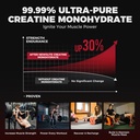 energy-strength-creatine-monohydrate-gum-4.jpg