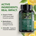 plantfusion-organic-methylated-vitamin-b-5.jpg