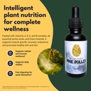wild-harvested-pine-pollen-tincture-cell-3.jpg