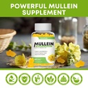 mullein-gummies-for-clear-lungs-10-in1-m-4.jpg