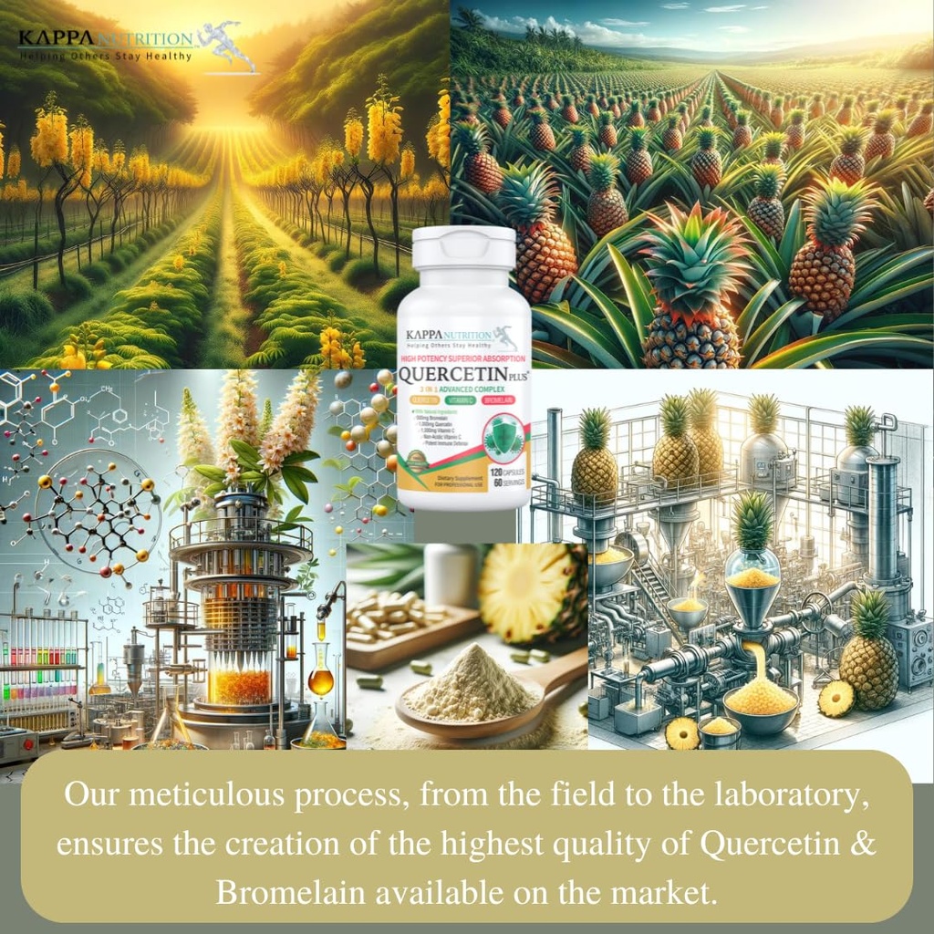 quercetin-plus-quercetin-1-000mg-bromela-5.jpg