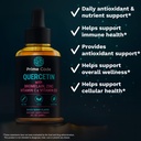 prime-code-quercetin-liquid-with-bromela-5.jpg
