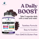 american-standard-supplements-elderberry-4.jpg