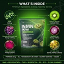nmn-500mg-trans-resveratrol-200mg-kiwi-g-3.jpg