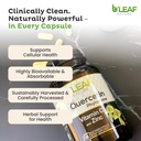 b-leaf-nature-quercetin-phytosome-120-ca-6.jpg
