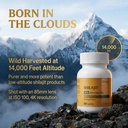 shilajit-capsules-with-ashwagandha-3.jpg