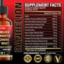 12in1-dandelion-root-liquid-extract-with-2.jpg
