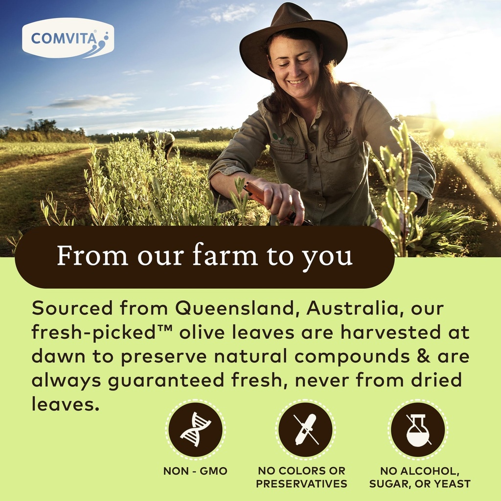 comvita-olive-leaf-extract-liquid-immune-4.jpg