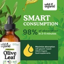wild-organic-olive-leaf-extract-liquid-d-4.jpg