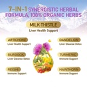 milk-thistle-liver-health-drops-all-in-1-4.jpg