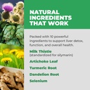 balance-one-liver-support-supplement-wit-2.jpg