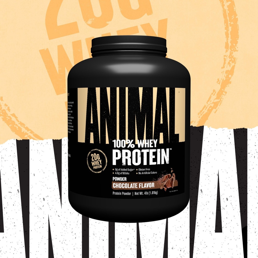 animal-100-whey-protein-powder-chocolate-4.jpg