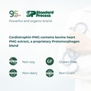 cardiotrophin-pmg-90-tablets-for-cardiov-2.jpg
