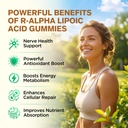 alpha-lipoic-acid-gummies-600mg-ala-supp-4.jpg