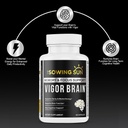 vigor-brain-premium-nootropic-supplement-5.jpg