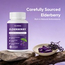 elvera-elderberry-gut-support-complex-or-3.jpg